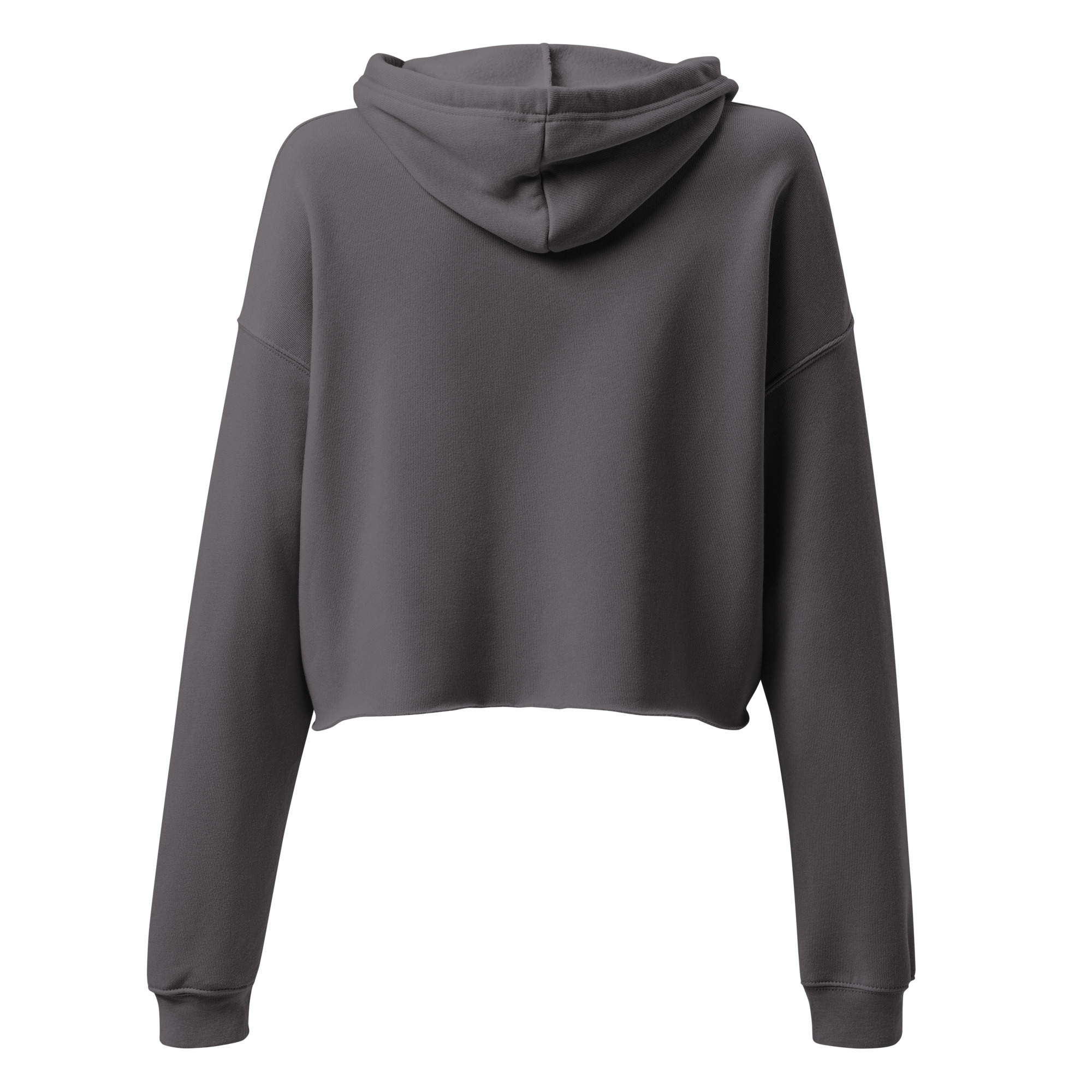 Sleep Geek Crop Hoodie | Association of Pulmonary Advanced